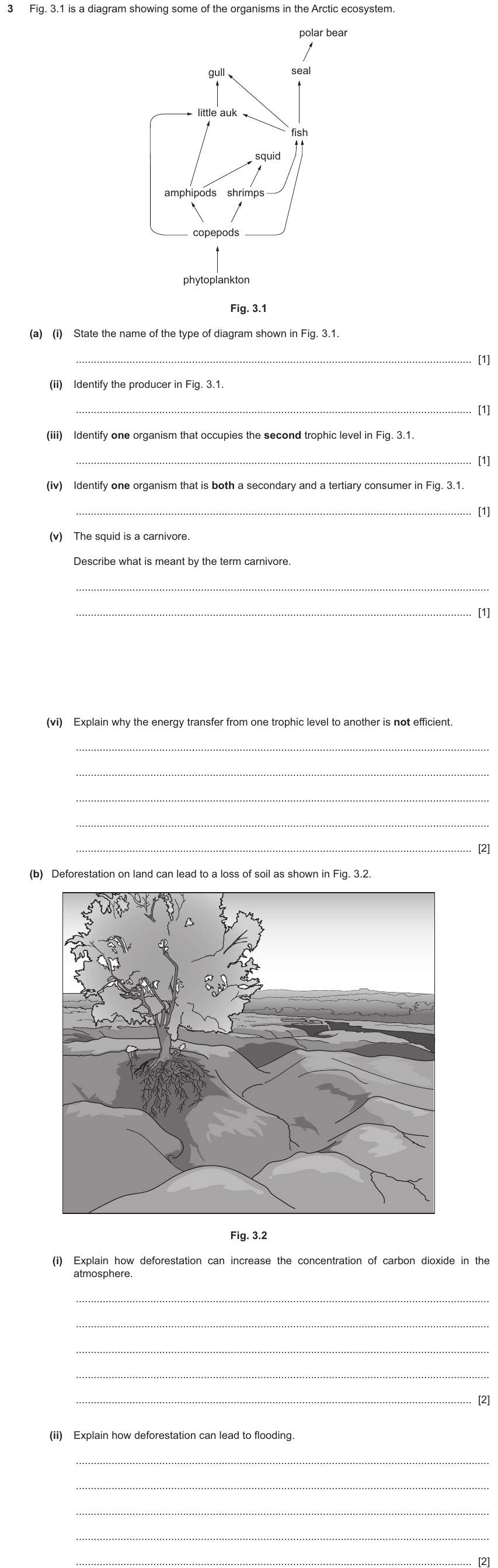 IGCSE 0654 Nov 2025 Paper 41 Question 3 — Food chains, webs & energy flow