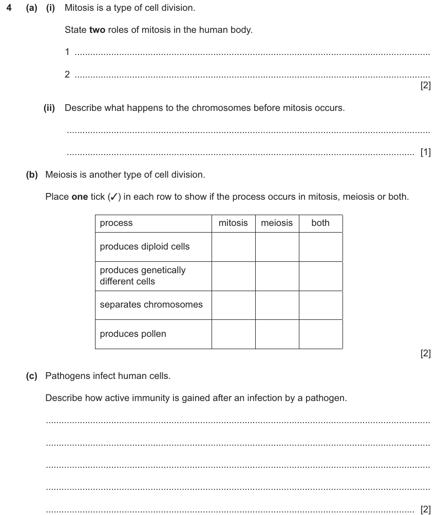 IGCSE 0654 Nov 2025 Paper 41 Question 4 — Mitosis & meiosis