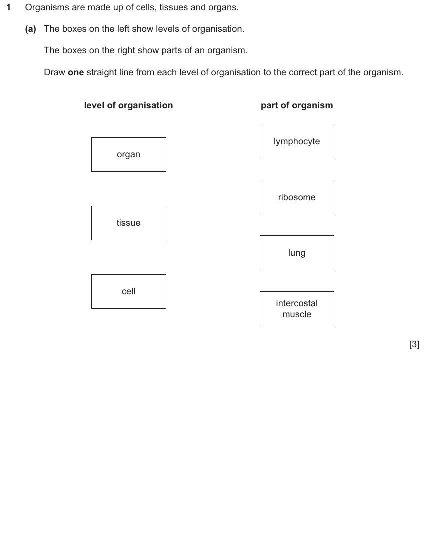 IGCSE 0654 Nov 2025 Paper 42 Question 1 — Blood