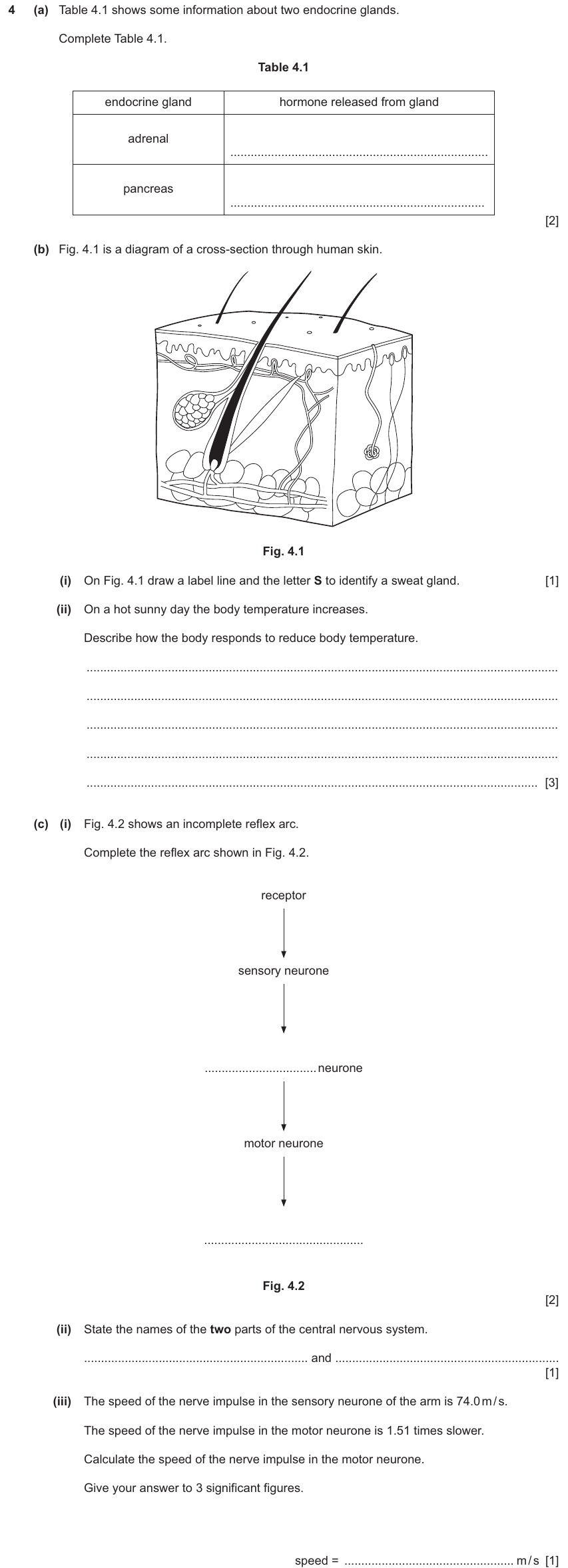 IGCSE 0654 Nov 2025 Paper 42 Question 4 — Nervous system & reflex arc