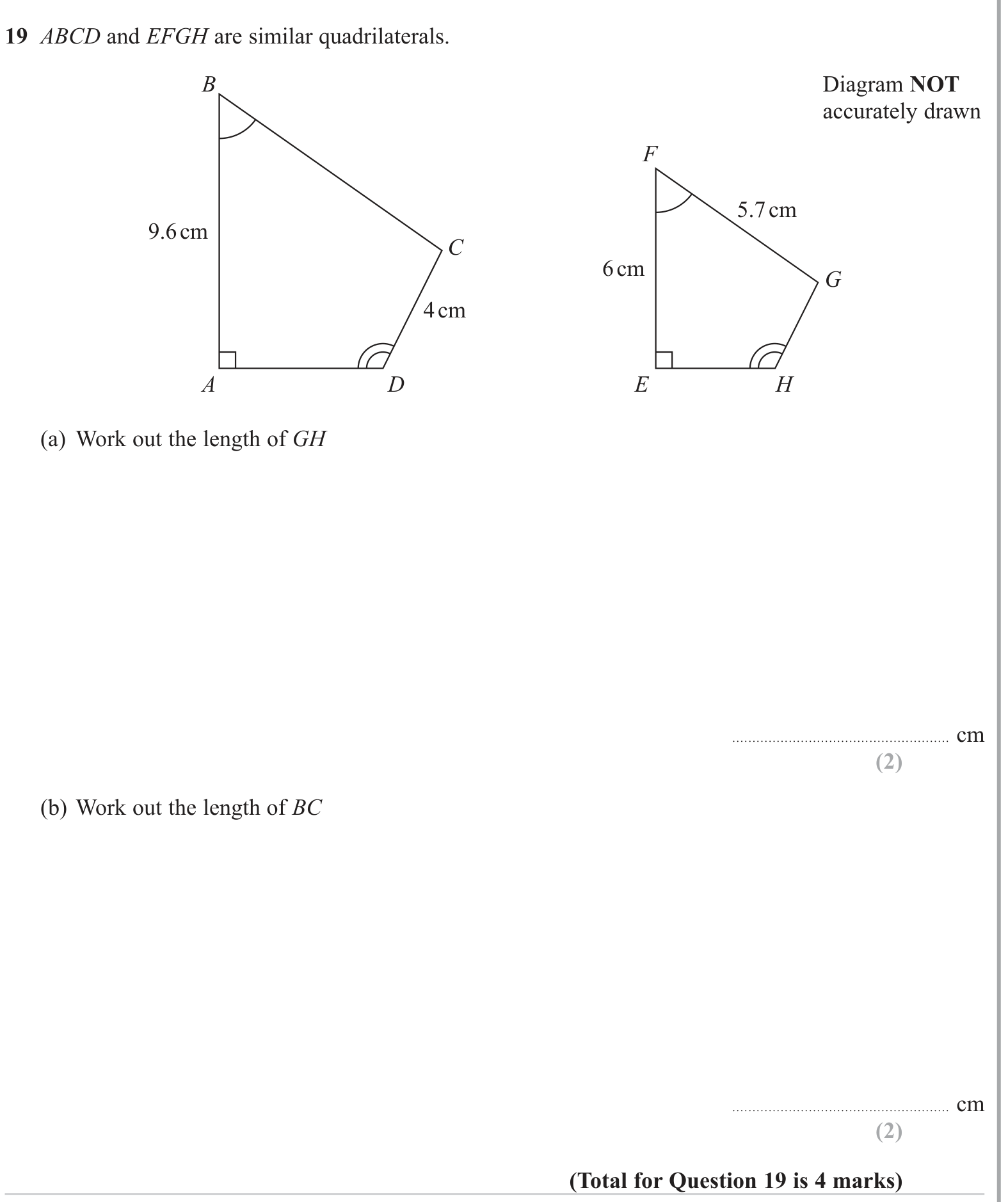 The four rules question 8